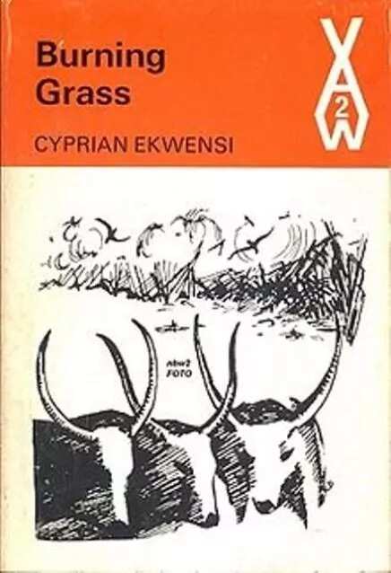 10 Nigerian literature books we read while growing up