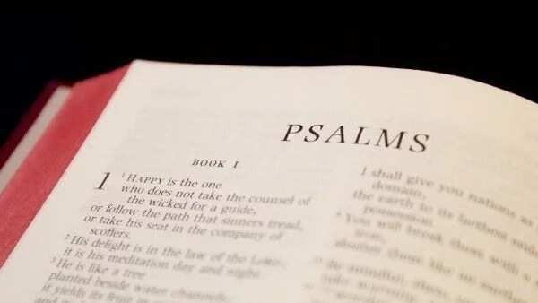 The secret of psalms for success and wealth - Legit.ng