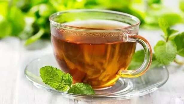 mint leaf tea