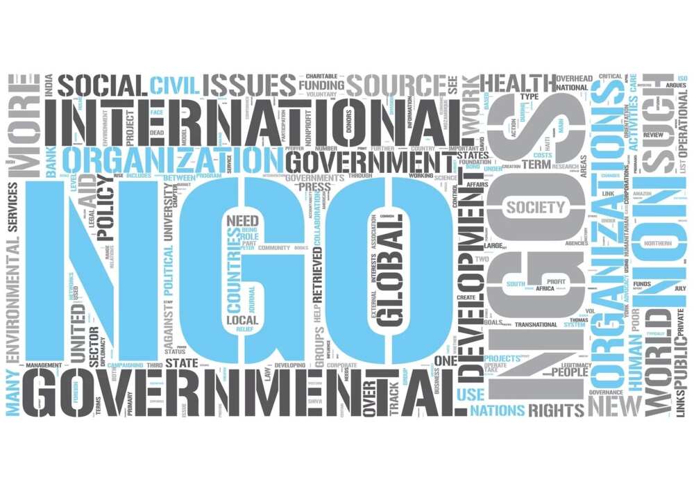 what is ngo what is ngo