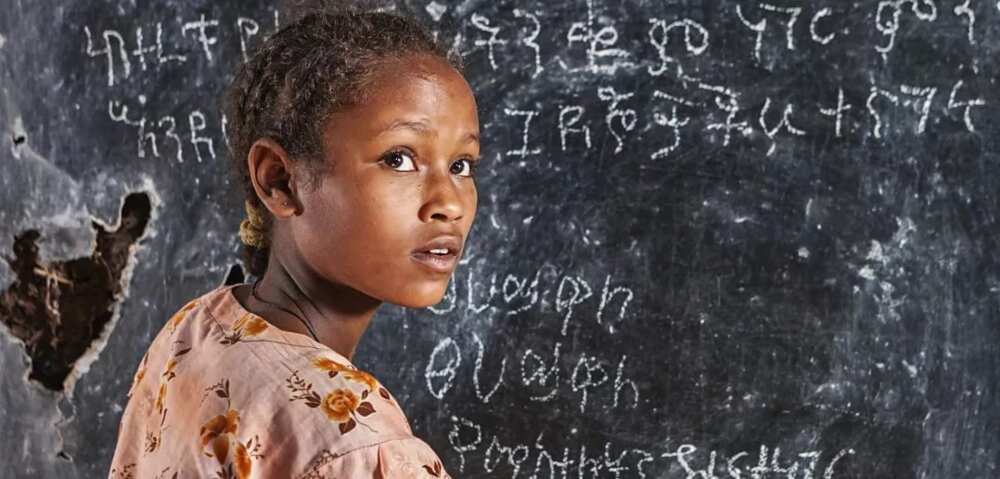 girl at the blackboard girl at the blackboard