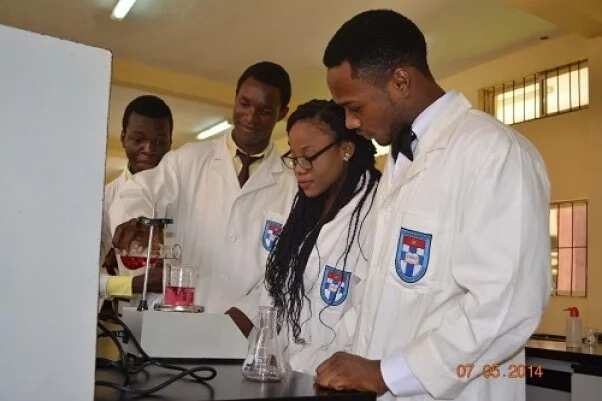 Students in a Laboratory
