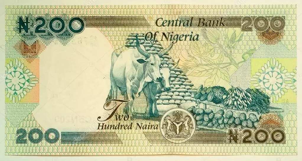 Features of Nigerian currency notes and coins Legit.ng