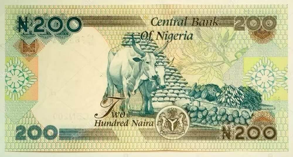 the-nigerian-currency-know-your-notes-reterdeen