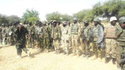 Insurgency: Another 1,081 Boko Haram terrorists, senior commanders surrender in Borno