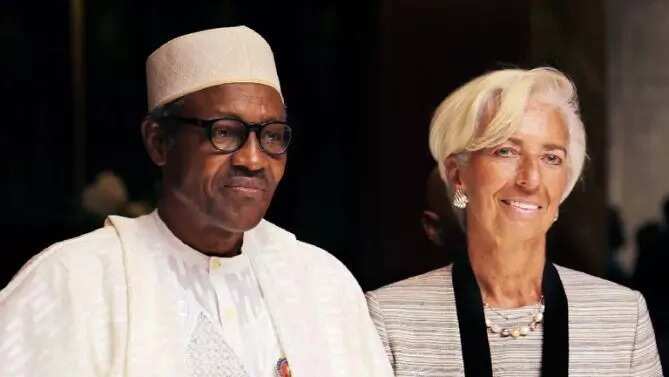 All efforts to save Naira failed - IMF