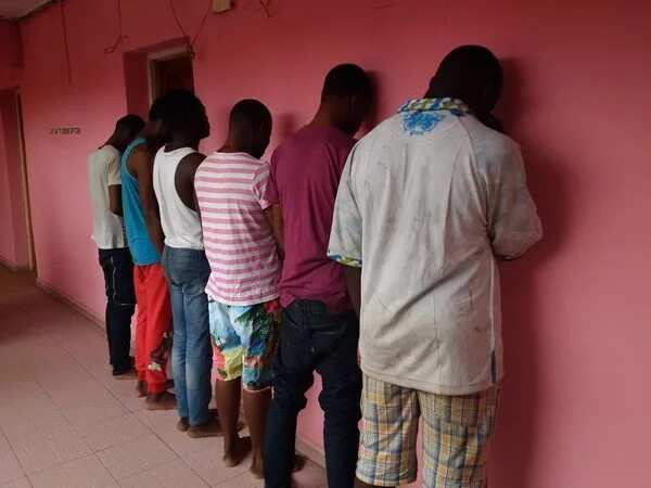 Six members of Benin City gay gang arrested