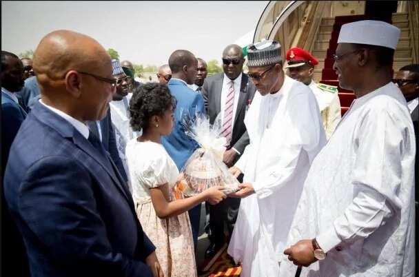 President Buhari Returns From Trip To Niger, Chad