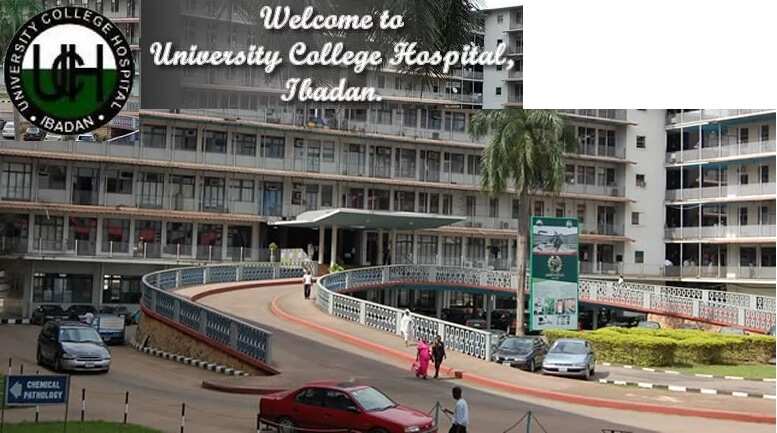 Oldest university ibadan Nigeria