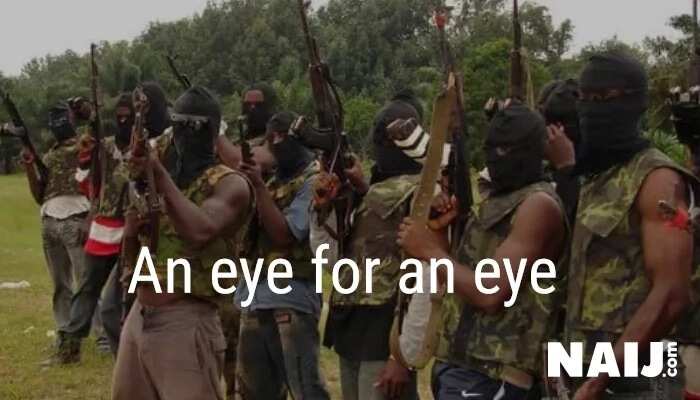 7 reasons Niger Delta militancy may not end soon