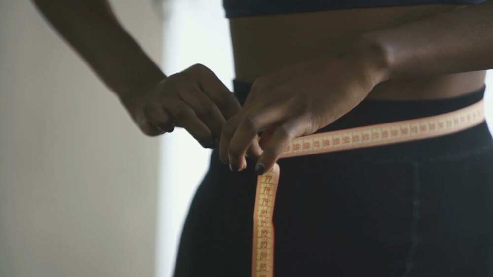 st bernards pierdere în greutate seminar mai multe mișcări intestinale pierd în greutate