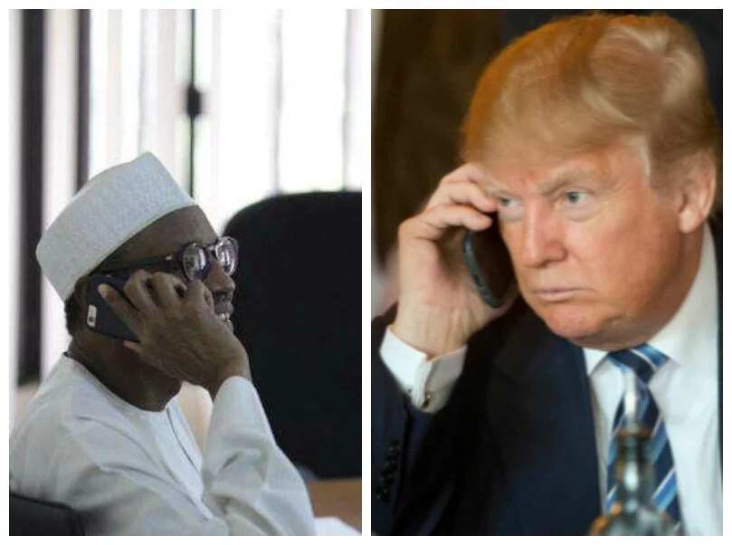 Abubuwar da Buhari zai yi niyar gayawa Trump a yau