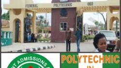 JAMB cut off marks for Polytechnic 2017/18
