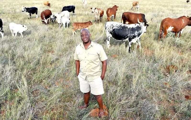 Meet Mo Molemi, the rapper who gave up music to start farming
