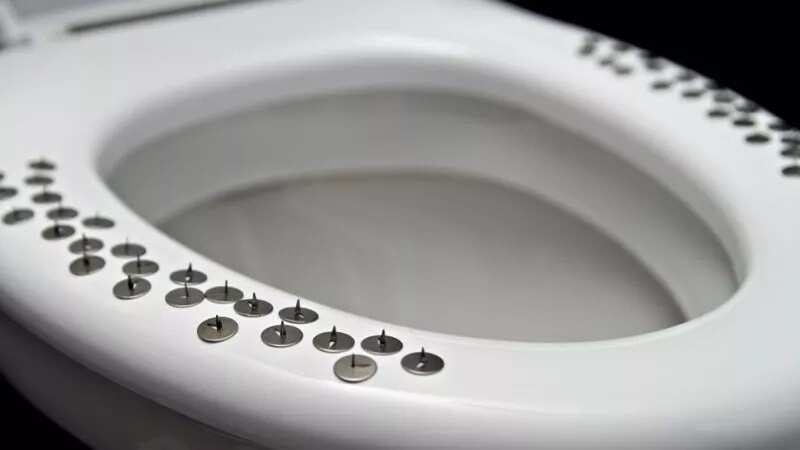 Toilet seat - is it dangerous? Toilet seat - is it dangerous?