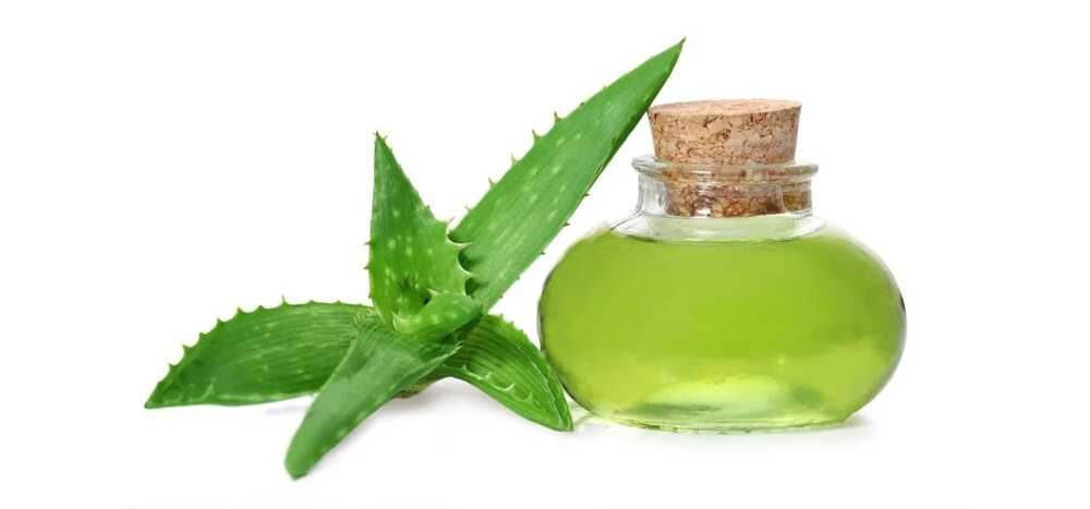 1. Aloe Vera 1. Aloe Vera