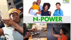 Dubunnan mutane sun samu aikin N-Power a jihar Kano