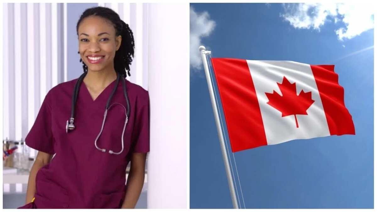 cheapest-nursing-schools-in-canada-for-international-students-legit-ng