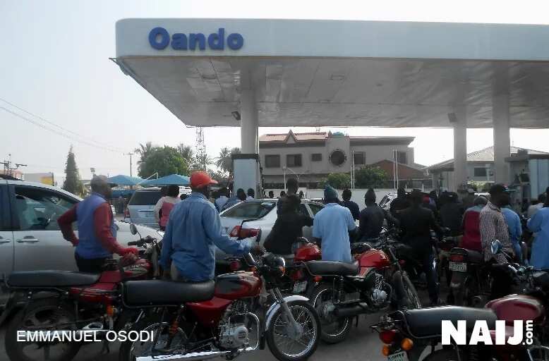 Fuel queues: NNPC programmes two cargoes per day for February