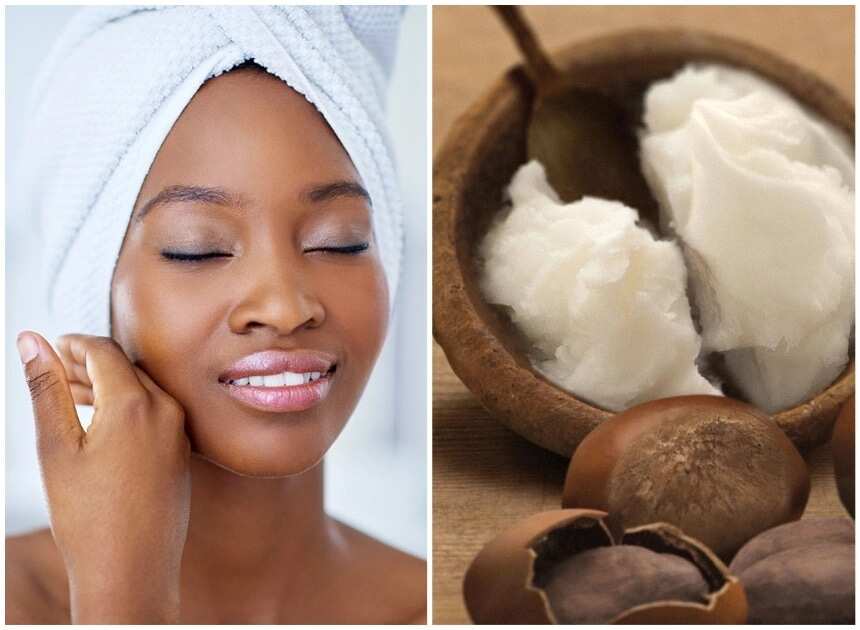 Image result for shea butter benefits for hair