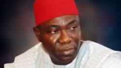 Zunuban Ike Ekweremadu: Manyan rigingimu 4 da tsohon mataimakin shugaban majalisar dattawan ya fada ciki