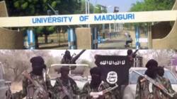 70 lecturers quit UNIMAID over Boko Haram attacks