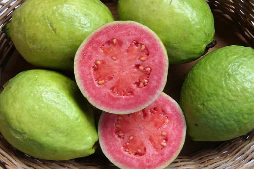 Muhimmancin shan ruwa da Gwayba a watan Azumin Ramadan Muhimmancin shan ruwa da Gwayba a watan Azumin Ramadan