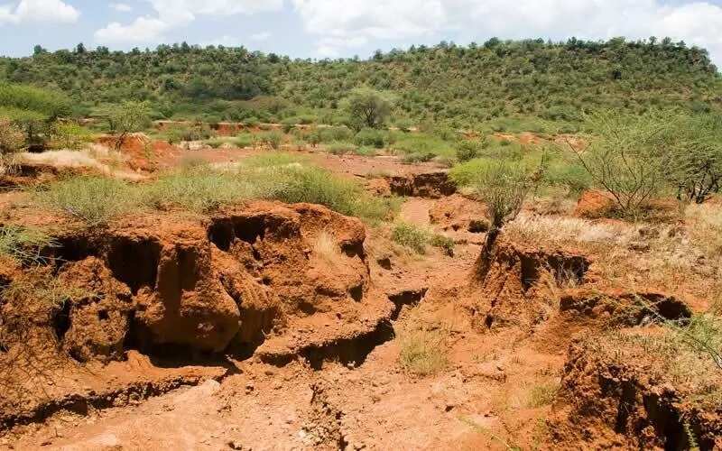 soil-erosion-basics-types-and-causes-erosion-control-services