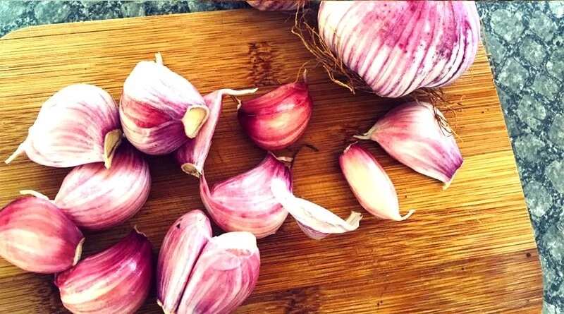 garlic benefits