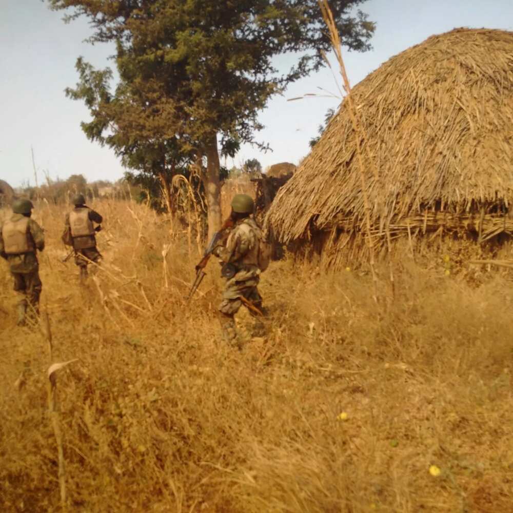 Just In: Troops ambush Boko Haram fighters, kill many