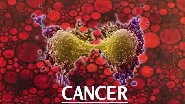 Lafiya uwar jiki: Cutar daji (cancer)