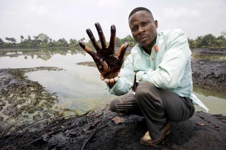 types-of-environmental-problems-in-nigeria-legit-ng