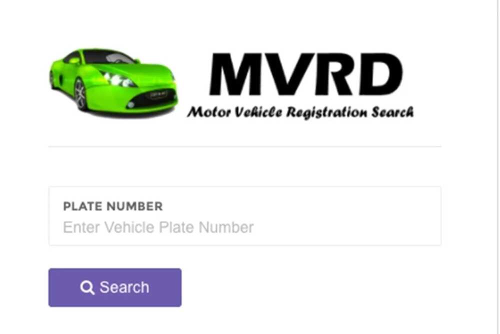 Motor Vehicle Registration Search