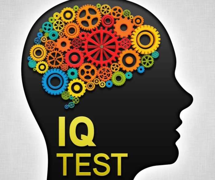 Highest IQ in the world - Top 10 intelligent countries Legit.ng