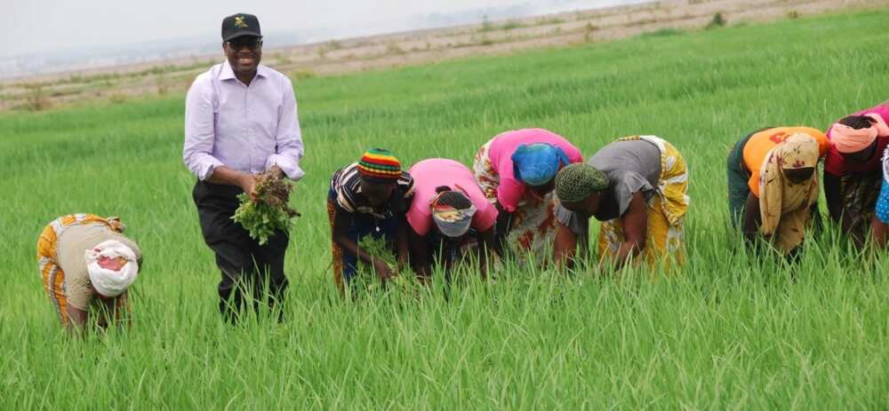 People farming during dry season
