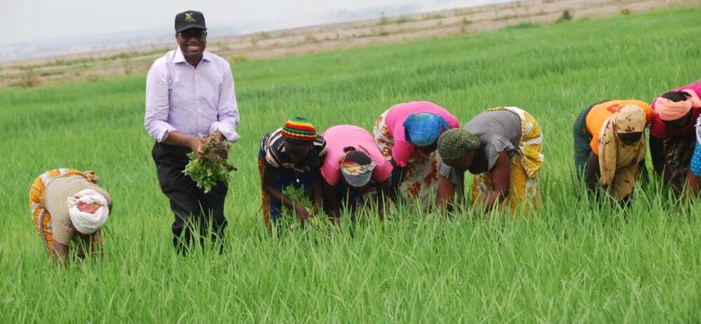 People farming during dry season People farming during dry season