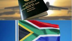 Easy way to track your South African visa online