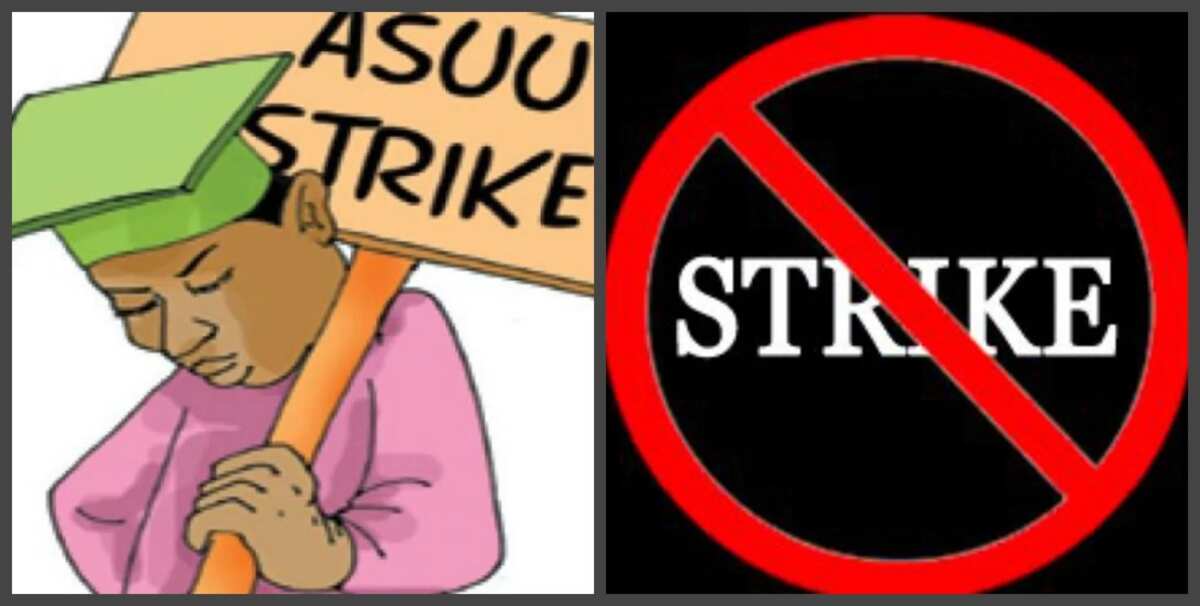 Image result for asuu