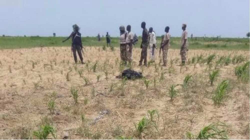 Five Bombers Die In Failed Attack On Maiduguri Five Bombers Die In Failed Attack On Maiduguri