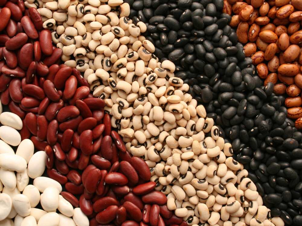 Beans crop