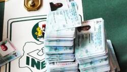 2023 election: Man arrested with 101 PVCs in Sokoto sentenced to one year in prison