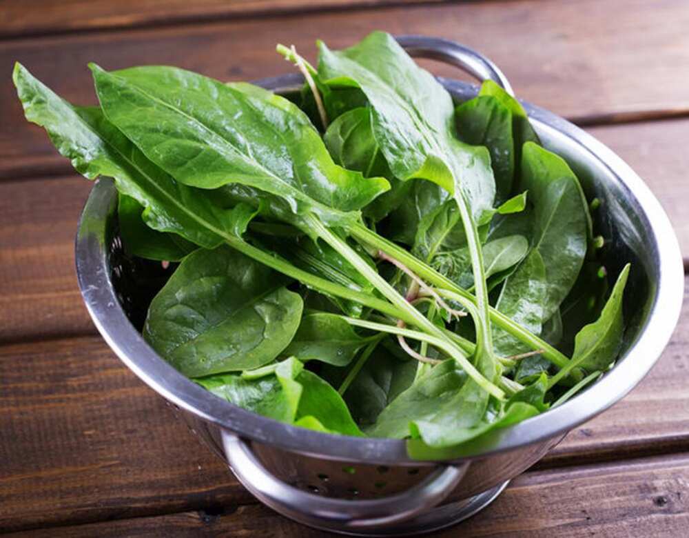 Greens for successful conceive and carrying a healthy child Greens for successful conceive and carrying a healthy child
