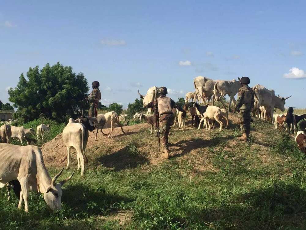 Wasu yan bindiga sun kashe mutane 4,garkuwa da mutane 30,da kuma sace awakai 250 Wasu yan bindiga sun kashe mutane 4,garkuwa da mutane 30,da kuma sace awakai 250