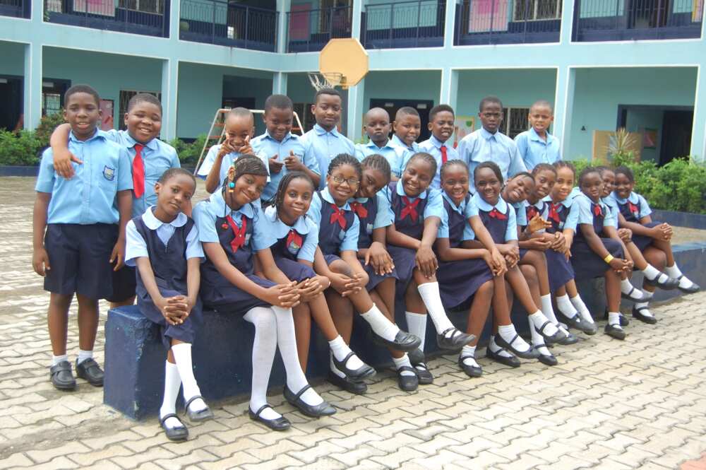 Best school uniforms in Nigeria Legit.ng