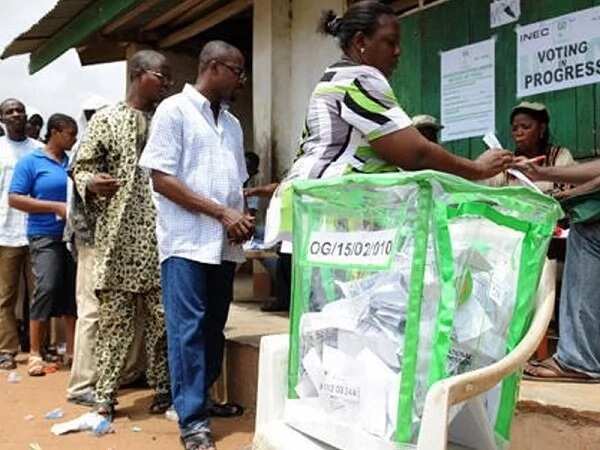 types-of-election-systems-in-nigeria-and-other-countries-legit-ng