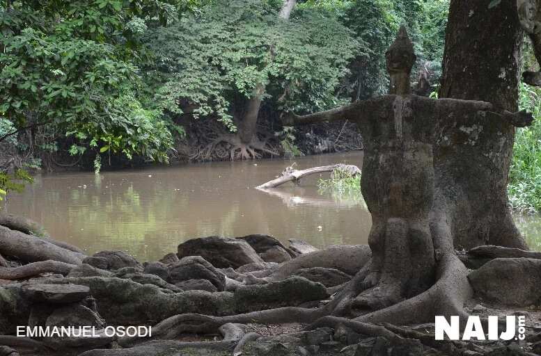 The mysteries behind Osun/Osogbo river