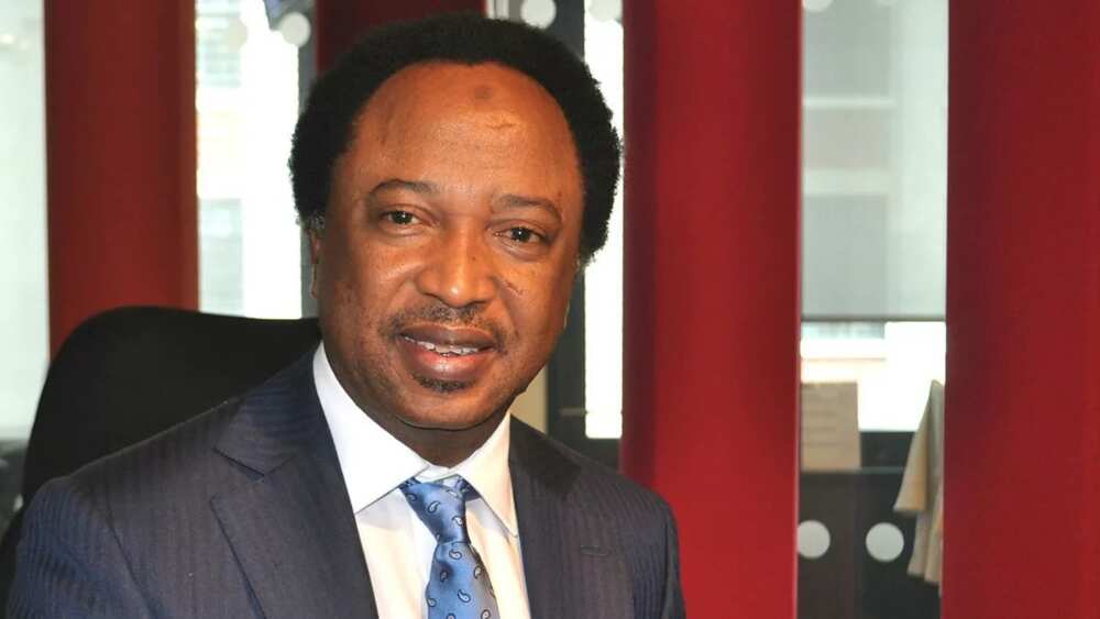 Shehu Sani denies voting against Ibrahim Magu