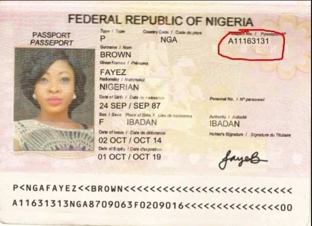 Where is Nigerian passport book number located? - Legit.ng