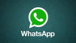 Breaking: WhatsApp breaks down, users unable to send, receive messages