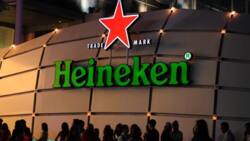 Heineken programme: great opportunities for Nigerian graduates